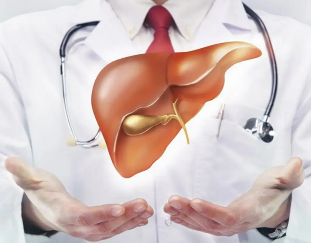 Liver Transplant