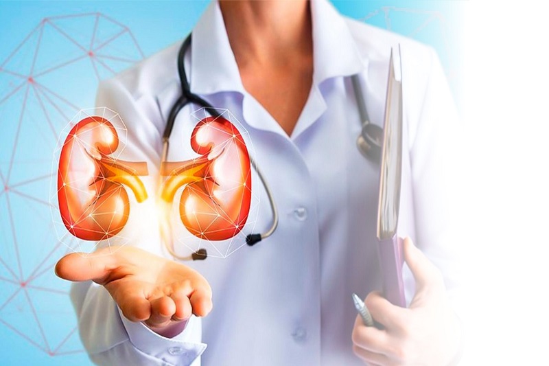 Kidney Transplant