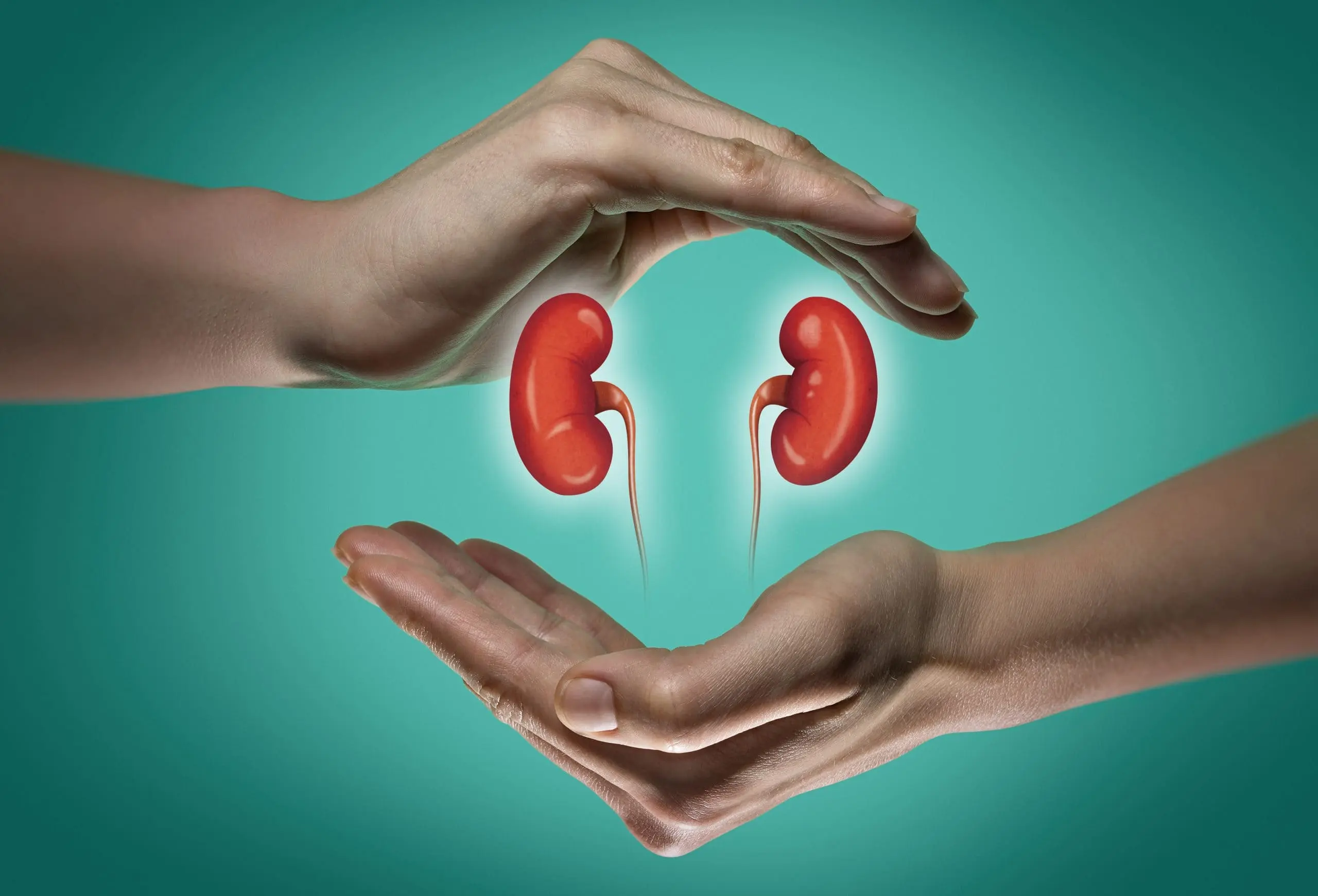 Kidney Transplant