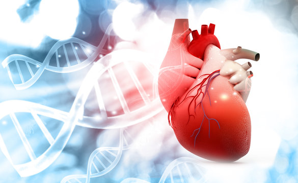 Double Valve Replacement and CABG
