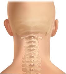 Cervical Posterior Spinal Fusion Surgery